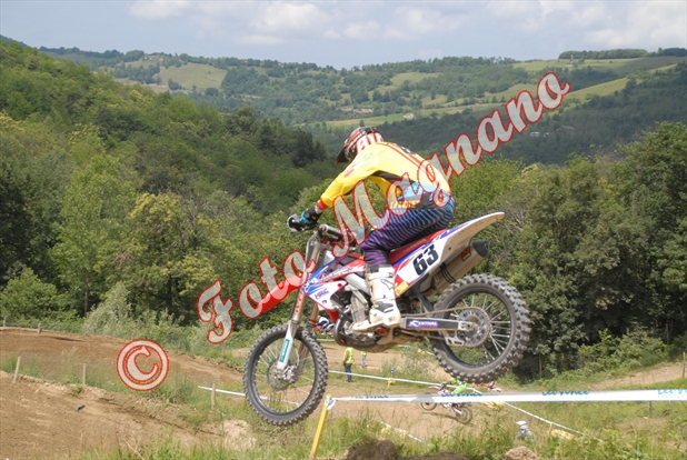 paroldo 291.jpg